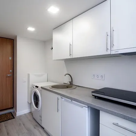 Cozy Loft / Near Gates Of Dawn / Free Netflix Lägenhet Vilnius