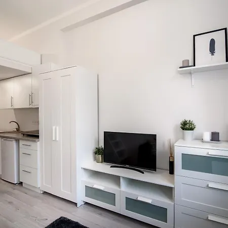 Apartment Cozy Loft / Near Gates Of Dawn / Free Netflix Vilnius