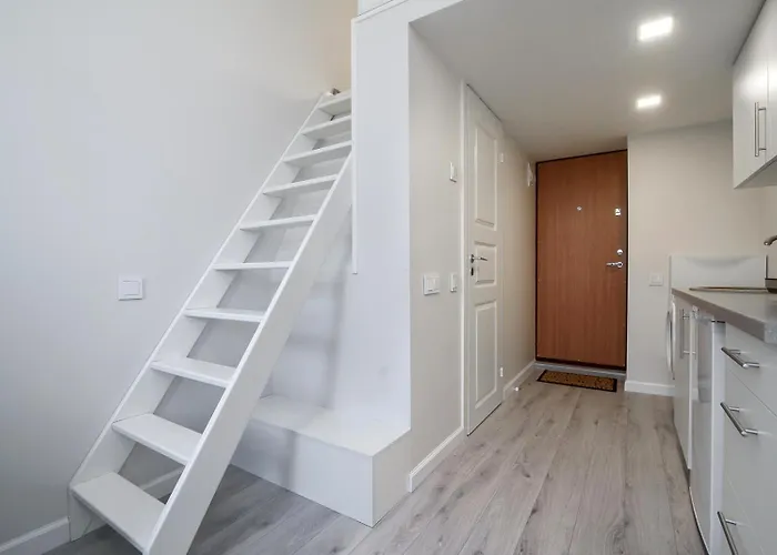 Апартаменти Cozy Loft / Near Gates Of Dawn / Free Netflix Вільнюс