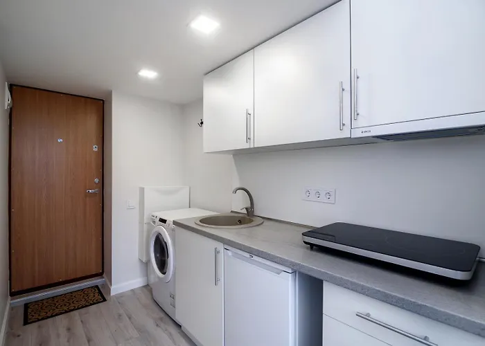 Cozy Loft / Near Gates Of Dawn / Free Netflix Апартаменти Вільнюс