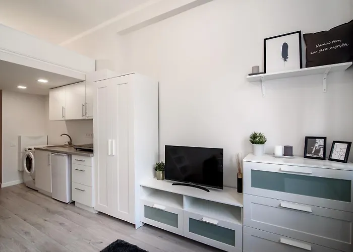 Апартаменти Cozy Loft / Near Gates Of Dawn / Free Netflix Вільнюс