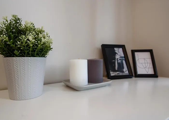 Cozy Loft / Near Gates Of Dawn / Free Netflix アパート ヴィリニュス