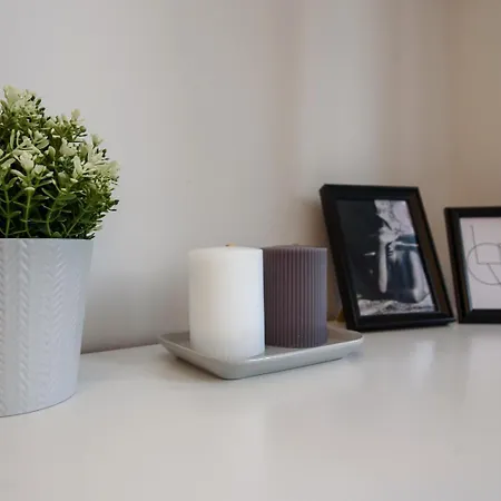 Cozy Loft / Near Gates Of Dawn / Free Netflix Apartment Vilnius